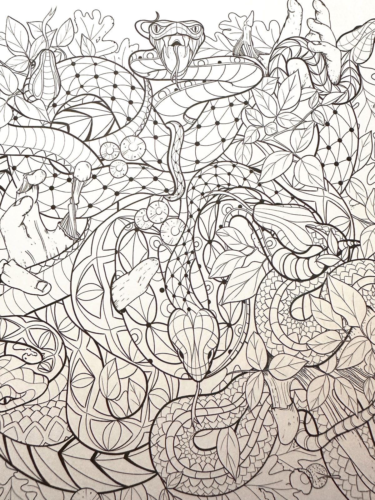 Mythogoria Vengeful Forest Coloring Book, Dark Fantasy Gothic Gift for Horror Art Lovers