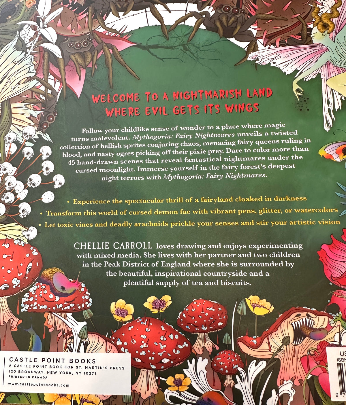 Back cover of the children's book 'Welcome to a Nightmare Land' by Chellie Carroll, published by Castle Point Books. The cover is filled with dense, colorful fantasy illustrations of mushrooms, spiders, and flowers, with a central red title block containing product description and author details.