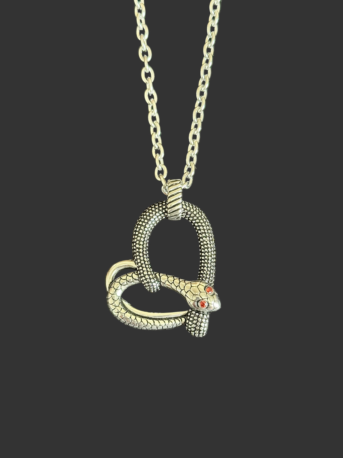 A silver-toned snake pendant necklace with textured scales and small red gemstone eyes, hanging from a matching chain against a dark gray textured background.