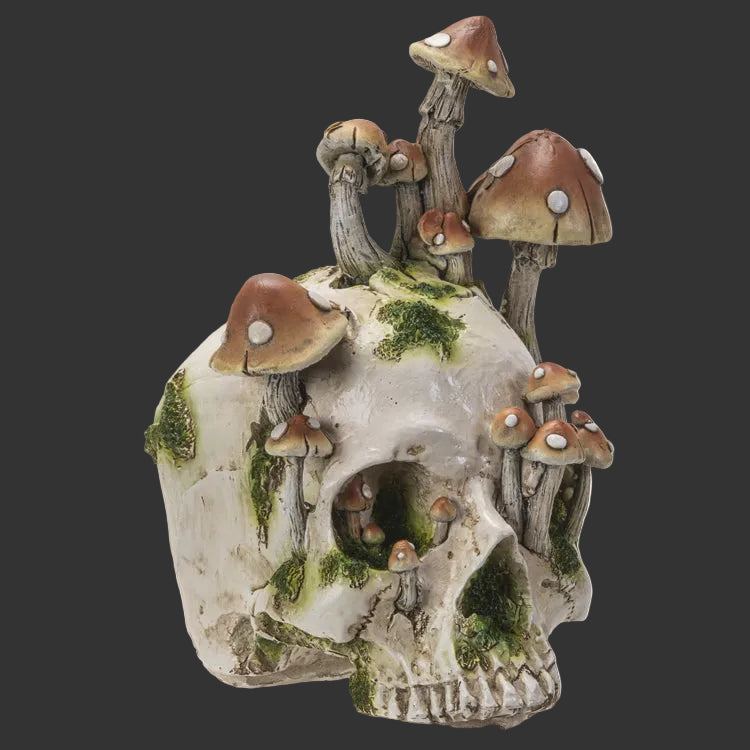 Decorative resin mushroom and stone skull sculpture on a black background
