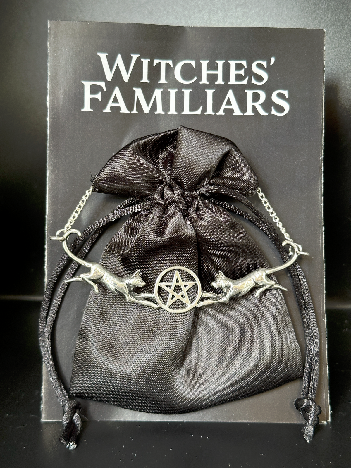 A silver-toned metal pendant featuring two cats guarding a pentagram, displayed on a black satin drawstring pouch over a black backing card labeled 'Witches' Familiars'.
